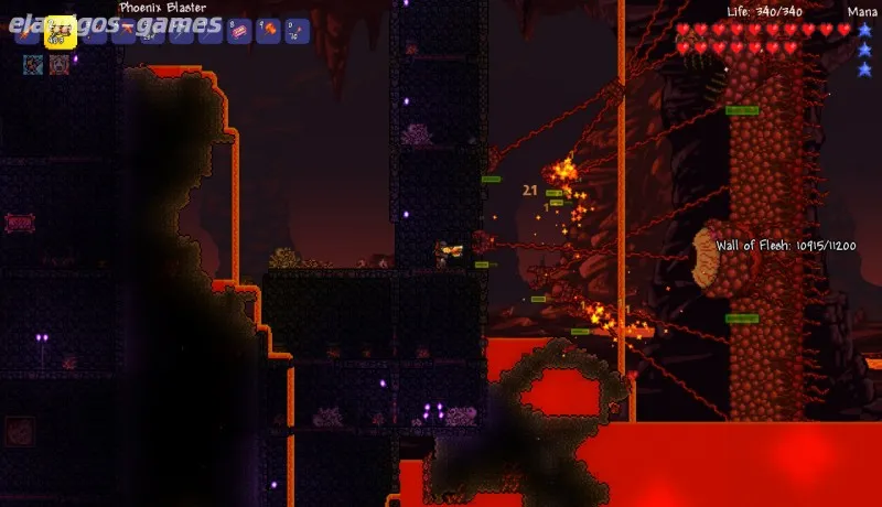 Download Terraria